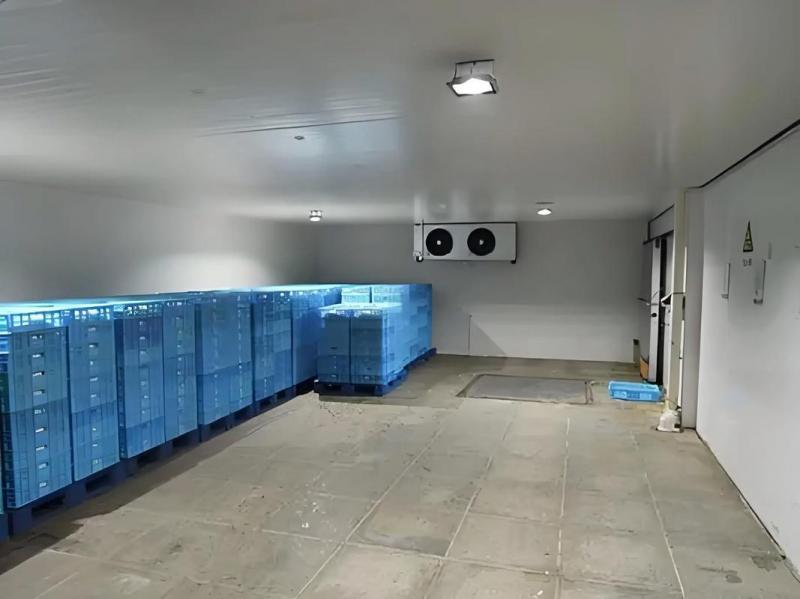 气调保鲜库与冷藏保鲜库的特点区别